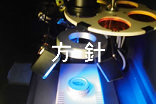 印影